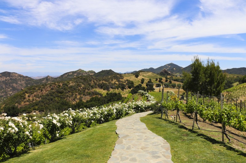 Malibu Wine Safari